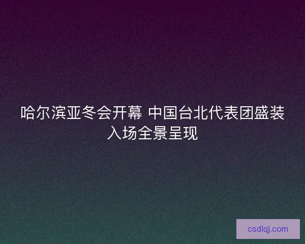 哈尔滨亚冬会开幕 中国台北代表团盛装入场全景呈现